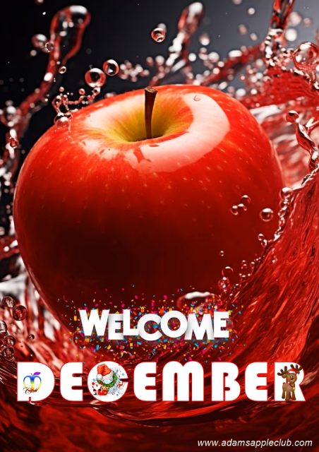 Welcome to December 2025 at Adam's Apple Club Chiang Mai, gets busy during peak season, so plan your activities and reservations in advance!