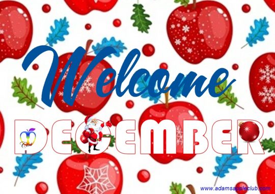 Welcome to December 2025 at Adam's Apple Club Chiang Mai, gets busy during peak season, so plan your activities and reservations in advance!