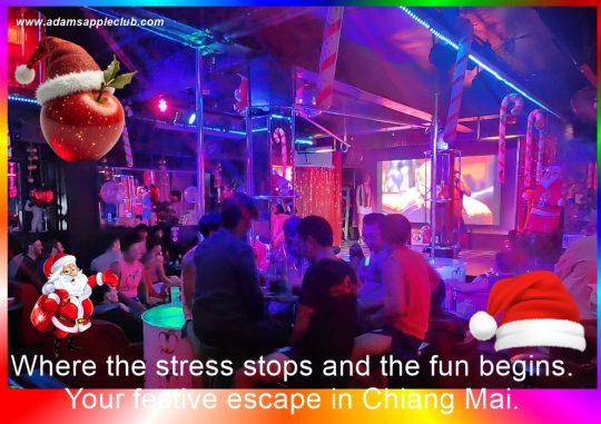 Making your spirits bright - Your festive escape in Chiang Mai. Adam’s Apple Club is the ultimate Christmas countdown hideaway.