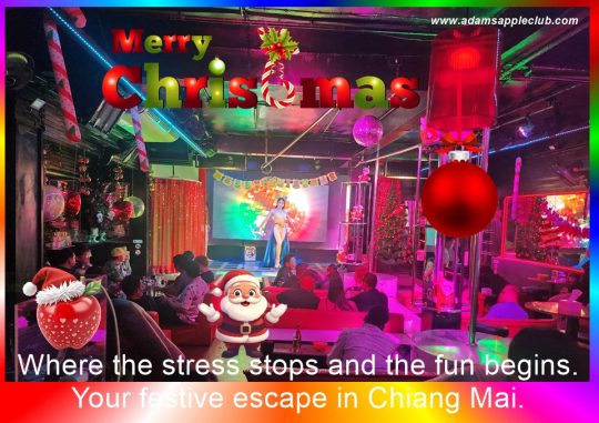Making your spirits bright - Your festive escape in Chiang Mai. Adam’s Apple Club is the ultimate Christmas countdown hideaway.
