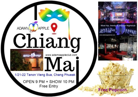 Entertainment Place 2026 CNX Adams Apple Club Chiang Mai, this venue offers a safe and inclusive space where everyone can be themselves.