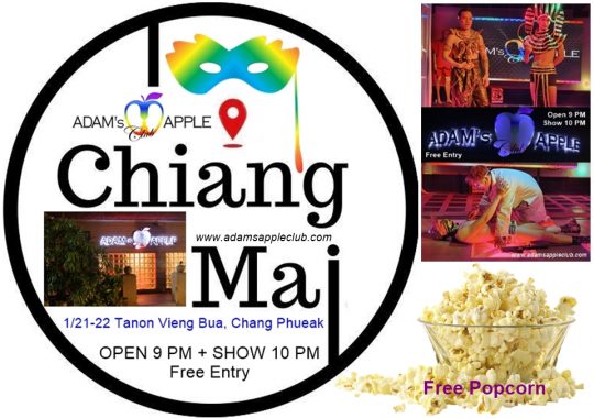 Entertainment Place 2026 CNX Adams Apple Club Chiang Mai, this venue offers a safe and inclusive space where everyone can be themselves.