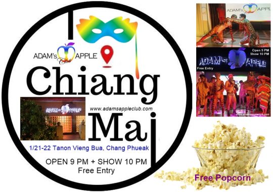 Entertainment Place 2026 CNX Adams Apple Club Chiang Mai, this venue offers a safe and inclusive space where everyone can be themselves.