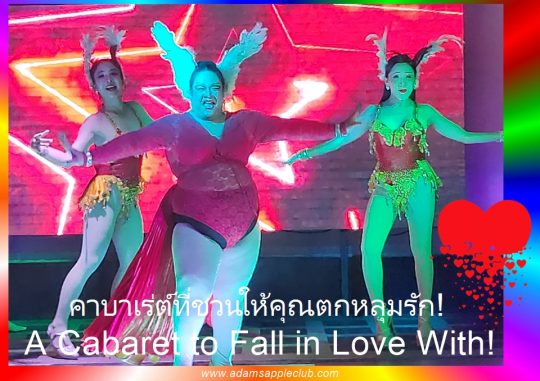 Cabaret to Fall in Love With! Adam's Apple Club Chiang Mai. It’s a cabaret "to touch" and "to fall in love with" - absolutely worthwhile.