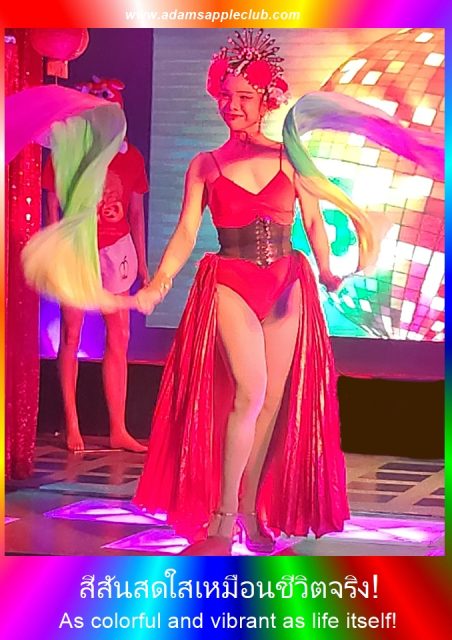 As colorful and vibrant as life itself! Adam's Apple Club Cabaret Show in Chiang Mai, a must-see in Santitham area (near Thanin Market).