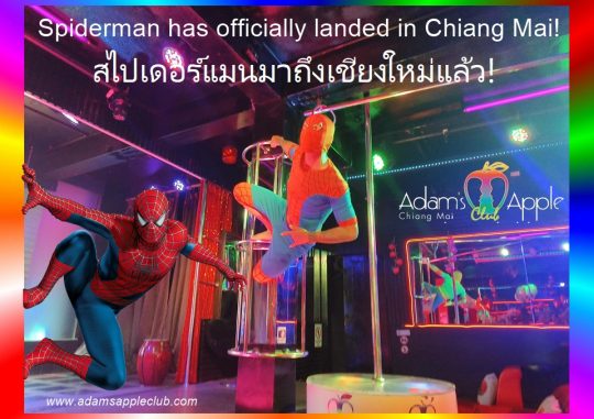 Spiderman has officially landed - Adam's Apple Club Chiang Mai. Breathtaking jumps, crazy energy, and the best vibes in Santitham!