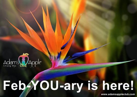 HELLO FEBRUARY 2026! Welcome to the Nightclub of Happiness! Experience the magic of the longest-running show bar in Northern Thailand!