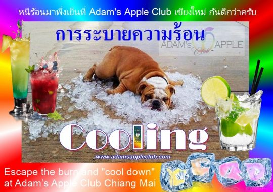 Escape the heat and cool off at Adam's Apple Club Chiang Mai! Cold drinks, top-tier AC, and the best vibes in town.