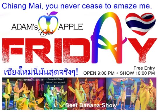 Chiang Mai Gay Bar 2026 - Adam's Apple Club Chiang Mai in the North of Thailand. Chiang Mai, you never cease to amaze me.