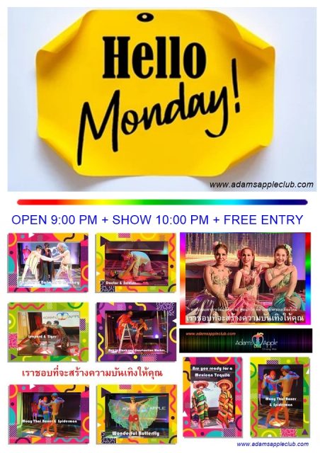 Gay Venue Chiang Mai - Adam's Apple Club Chiang Mai Yellow is the color of Monday in Thailand, symbolizing a bright start!