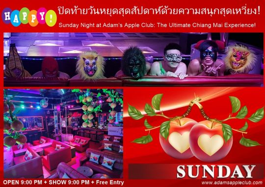 The Ultimate Chiang Mai Experience! Adam’s Apple Club. Don’t just hear about it - experience the magic for yourself!