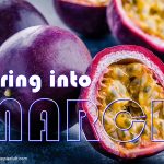 Welcome MARCH 2026 Adams Apple Club Chiang Mai. Exotic shows, world-class performers, and the best vibes in the North.