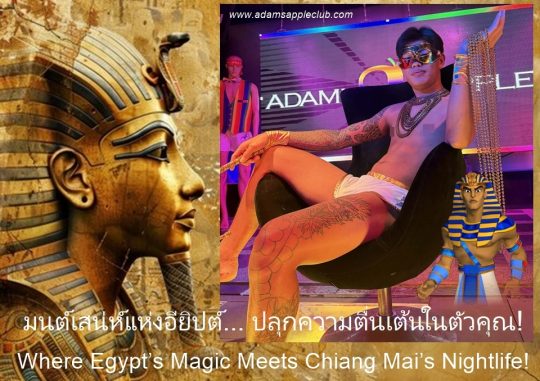 Egypt Unleashed in Chiang Mai - Adam's Apple Club Chiang Mai. Elevating Chiang Mai's Entertainment Standards.