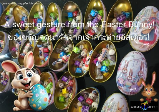 Easter surprises are here! - Adam's Apple Club Chiang Mai The friendly Easter Bunny stopped by with a special surprise!