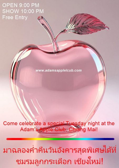 Think Pink this Tuesday! - Adam's Apple Club Chiang Mai Join our global family for an unforgettable evening at the "Nightclub of Happiness."