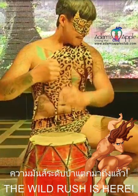 The wild rush is here - Adam's Apple Club Chiang Mai Get ready for the most thrilling night in Chiang Mai!