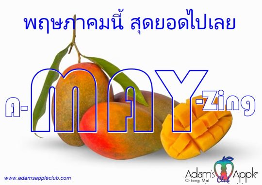 Hello May 2026 - Adam's Apple Club Chiang Mai Wishing you a successful month ahead filled with the best nights out!