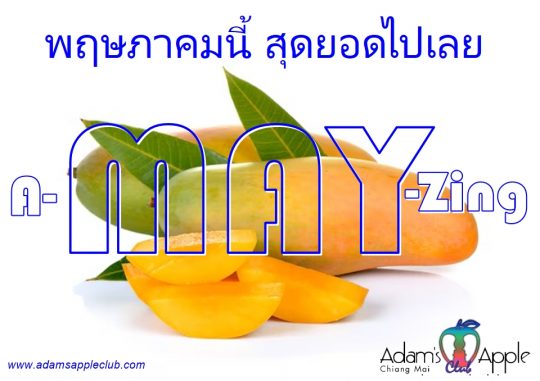 Hello May 2026 - Adam's Apple Club Chiang Mai Wishing you a successful month ahead filled with the best nights out!