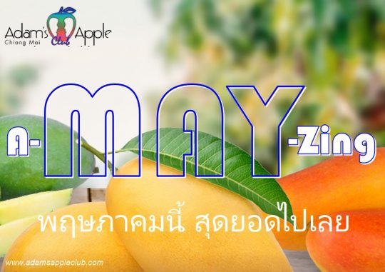 Hello May 2026 - Adam's Apple Club Chiang Mai Wishing you a successful month ahead filled with the best nights out!