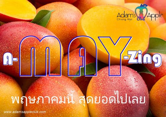 Hello May 2026 - Adam's Apple Club Chiang Mai Wishing you a successful month ahead filled with the best nights out!