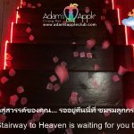 Your Stairway to Heaven - Adam's Apple Club Chiang Mai Bring your friends, bring your energy, and let us take you on a journey to paradise.