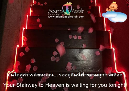 Your Stairway to Heaven - Adam's Apple Club Chiang Mai Bring your friends, bring your energy, and let us take you on a journey to paradise.