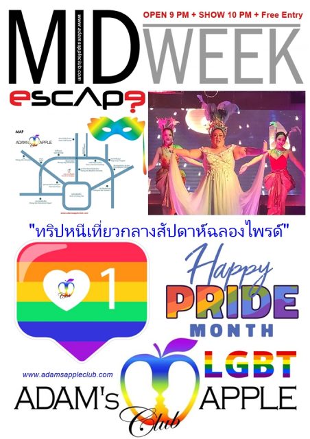 Mid-Week Pride Escape - Adam's Apple Club Chiang Mai Drop by Adam's Apple Club Chiang Mai for jaw-dropping cabaret & host shows.
