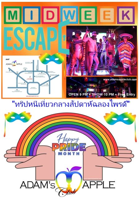 Mid-Week Pride Escape - Adam's Apple Club Chiang Mai Drop by Adam's Apple Club Chiang Mai for jaw-dropping cabaret & host shows.