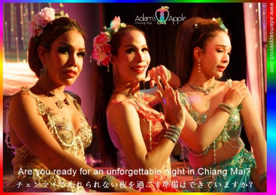 Featuring world-class Shows - Adam's Apple Club Chiang Mai 皆様のご来店をお待ちしております!チェンマイの伝説的なナイトライフ、**「アダムスアップルクラブ (Adam's Apple Club)
