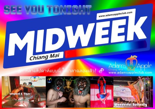 Midweek – time to party! - Adam's Apple Club Chiang Mai Tonight, we’re breaking the midweek rules and going ALL OUT!