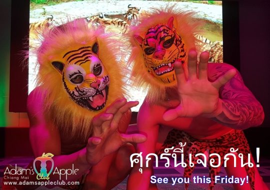 See you this Friday! - Adam's Apple Club Chiang Mai Kickstart your weekend at Chiang Mai’s Ultimate Show Bar!