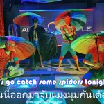 Let's go spider catching - Adam's Apple Club Chiang Mai Who is joining the hunt? Adams Apple Club Chiang Mai is the place to be!