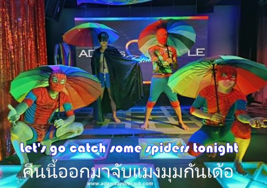 Let's go spider catching - Adam's Apple Club Chiang Mai Who is joining the hunt? Adams Apple Club Chiang Mai is the place to be!