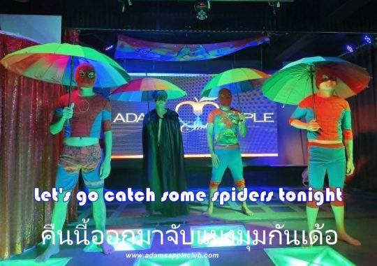 Let's go spider catching - Adam's Apple Club Chiang Mai Who is joining the hunt? Adams Apple Club Chiang Mai is the place to be!
