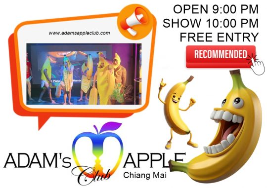 Spectacular Nights Await You - Adam's Apple Club Chiang Mai Enjoy the legendary gay-friendly nightlife with world-class cabaret performances