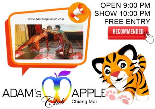 Spectacular Nights Await You - Adam's Apple Club Chiang Mai Enjoy the legendary gay-friendly nightlife with world-class cabaret performances