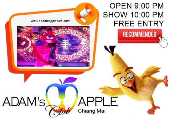 Spectacular Nights Await You - Adam's Apple Club Chiang Mai Enjoy the legendary gay-friendly nightlife with world-class cabaret performances