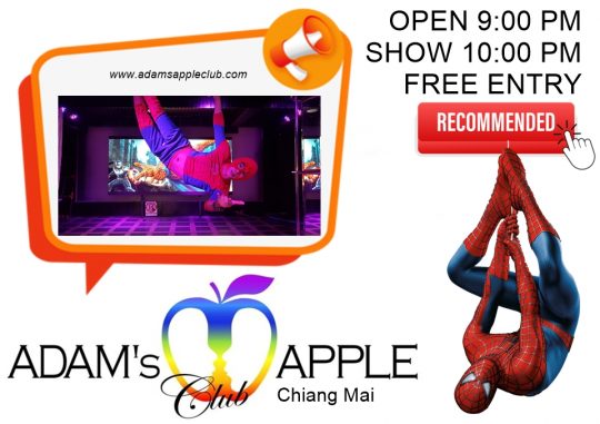 Spectacular Nights Await You - Adam's Apple Club Chiang Mai Enjoy the legendary gay-friendly nightlife with world-class cabaret performances