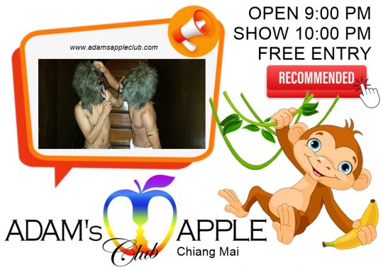 Spectacular Nights Await You - Adam's Apple Club Chiang Mai Enjoy the legendary gay-friendly nightlife with world-class cabaret performances