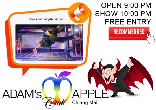 Spectacular Nights Await You - Adam's Apple Club Chiang Mai Enjoy the legendary gay-friendly nightlife with world-class cabaret performances