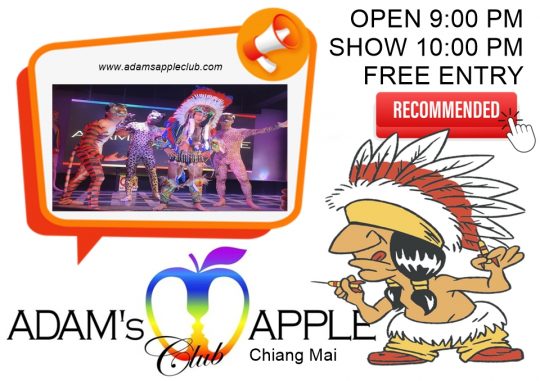 Spectacular Nights Await You - Adam's Apple Club Chiang Mai Enjoy the legendary gay-friendly nightlife with world-class cabaret performances