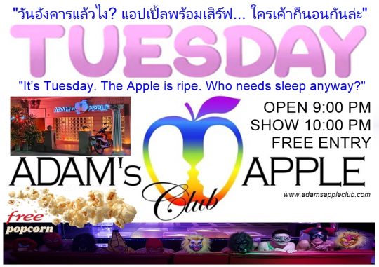 Tuesday Nightlife Chiang Mai - Adam's Apple Club Tuesday at Adam's Apple: Where 'just one drink' turns into an international event.