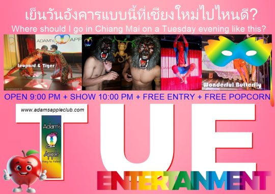 Where should I go - Adam's Apple Club Chiang Mai Did you know Chiang Mai’s most legendary show bar is just 10 minutes from the Old City?