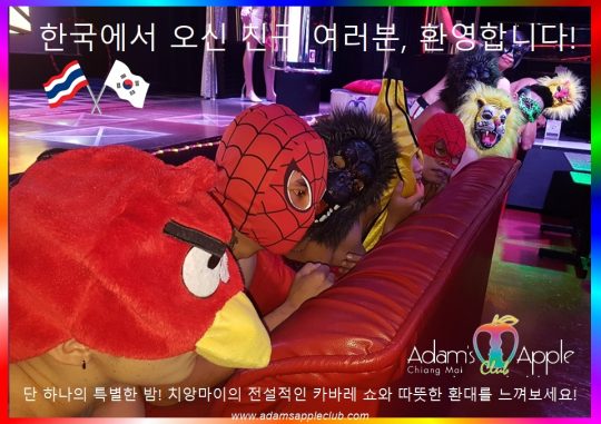 한국에서오신친구여러분 환영합니다! - Adam's Apple Club Chiang Mai Thailand 치앙마이의 전설적인 밤문화를 즐길 준비가 되셨나요? 화려한 카바레 쇼와 따뜻한 환대가 기다리고 있습니다!