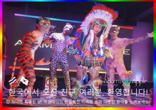 한국에서오신친구여러분 환영합니다! - Adam's Apple Club Chiang Mai Thailand 치앙마이의 전설적인 밤문화를 즐길 준비가 되셨나요? 화려한 카바레 쇼와 따뜻한 환대가 기다리고 있습니다!
